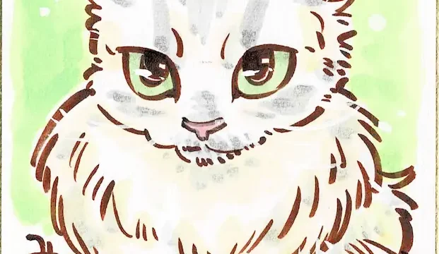 猫似顔絵